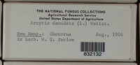 Image Associated With the Occurence